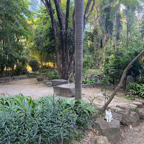 kasalikasan garden|Kasalikasan Garden Review .